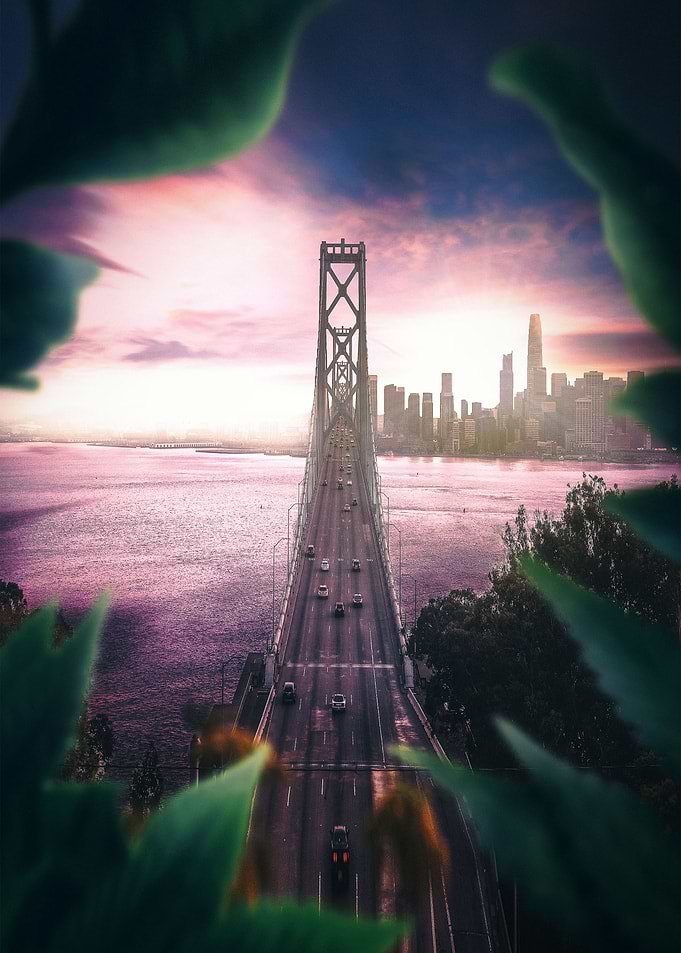 Welcome to San Fran