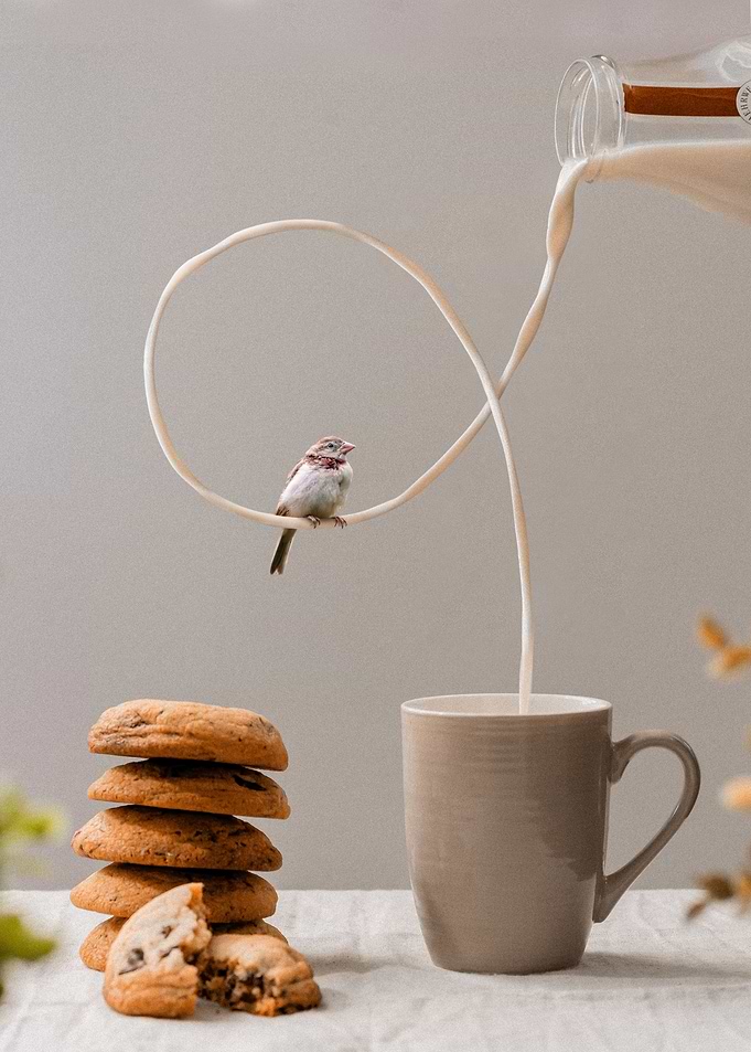 Bird can sit on Milk