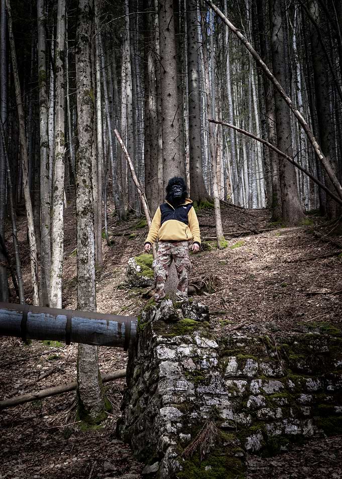 Ape in Camouflage