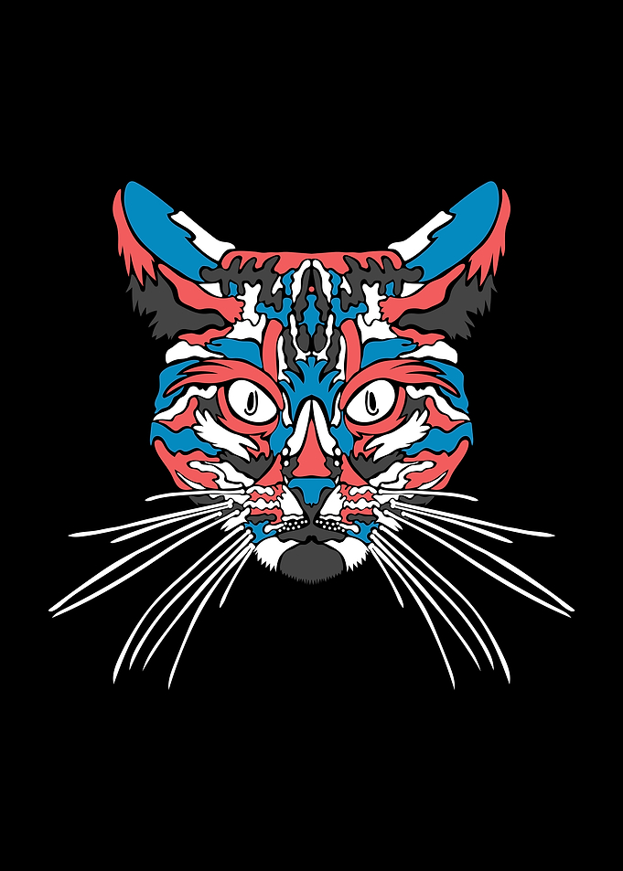Cat Illustration Of Ethnic