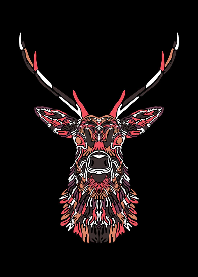 Deer Illustration