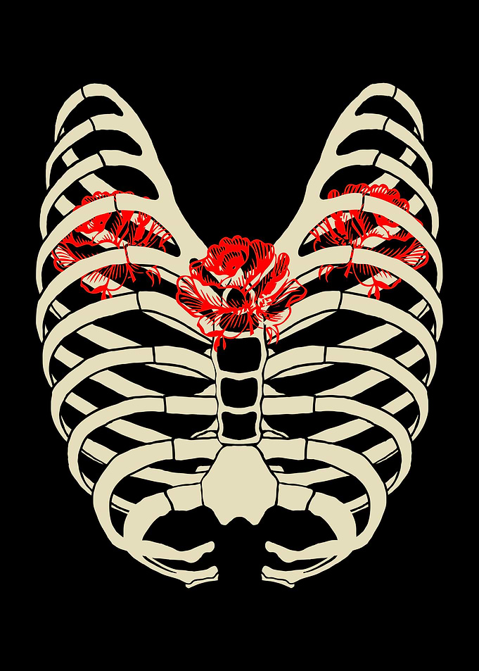 Radiology Chest Roses Xray
