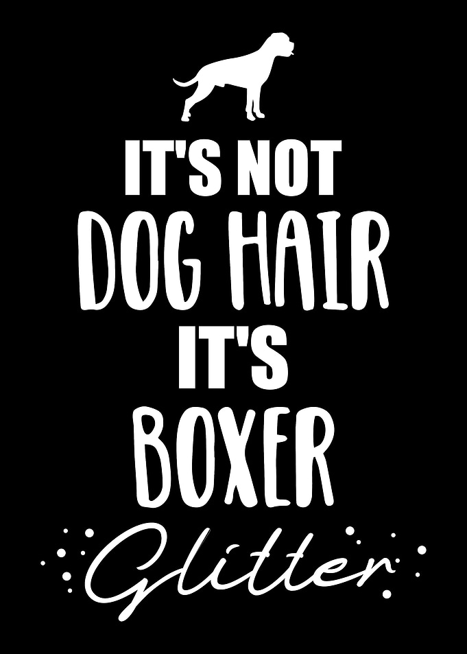 Boxer