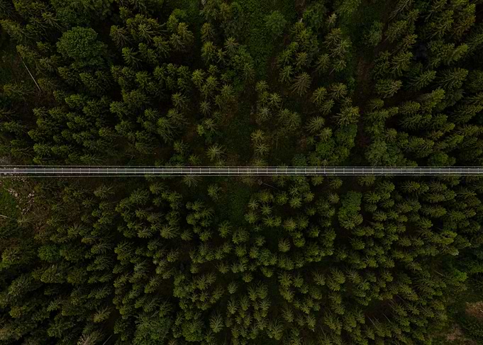 High Suspension Bridge