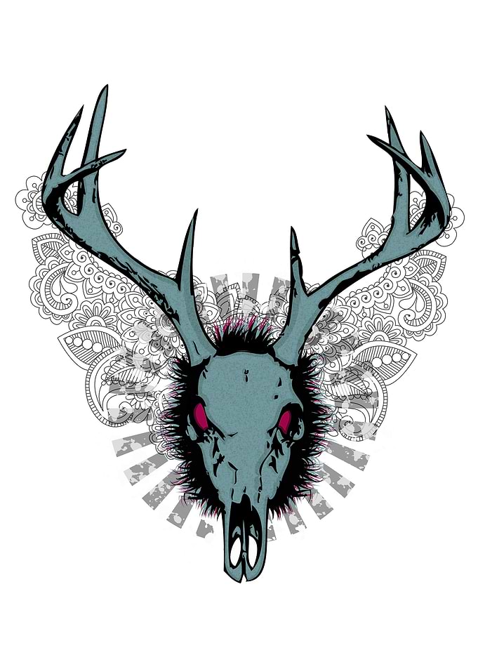 Deer skull