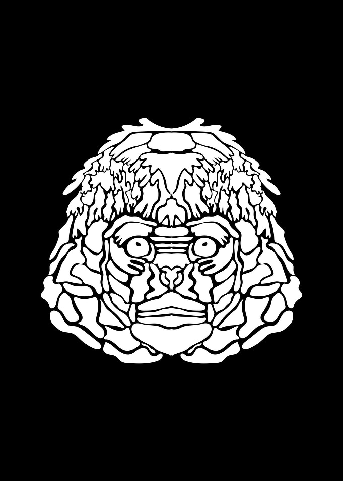 Monkey Illustration