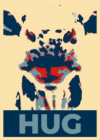 HUG a Cow Obama style