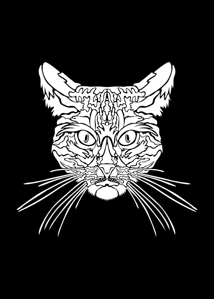 Cat Illustration Of Ethnic