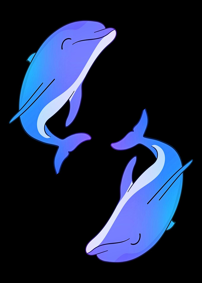 Beautiful dolphin animal