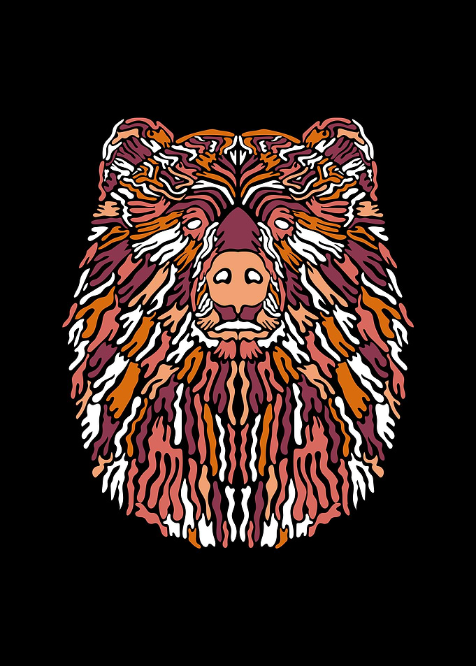 Bear Illustration