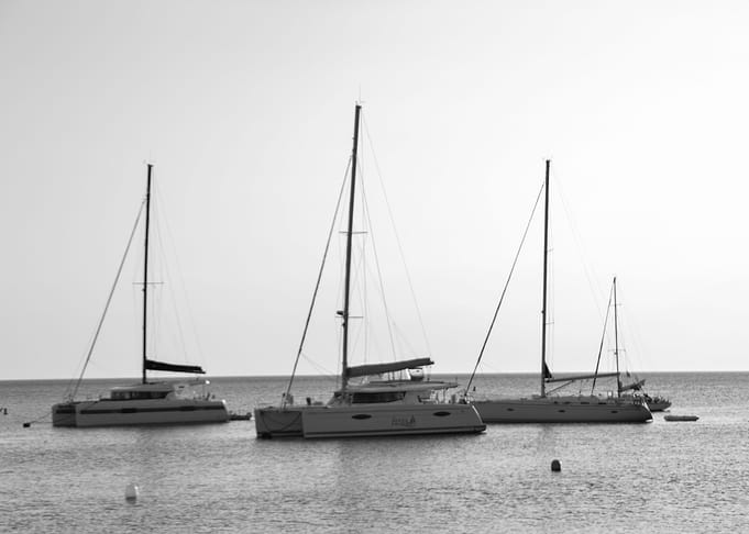 Tree Boats in sea