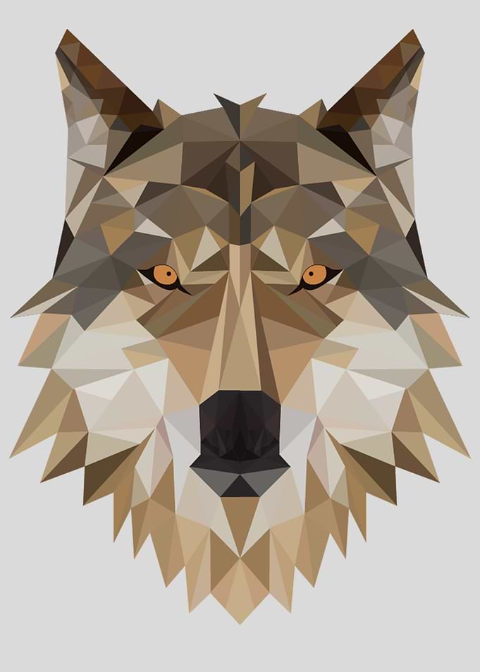 Wolf Animal Polygon
