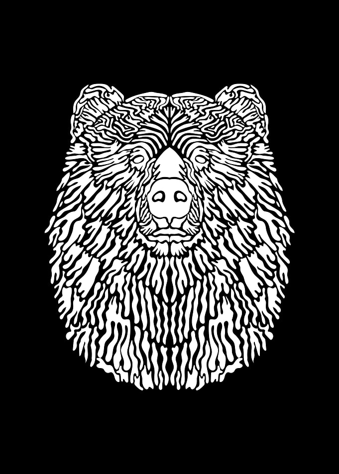 Bear Illustration