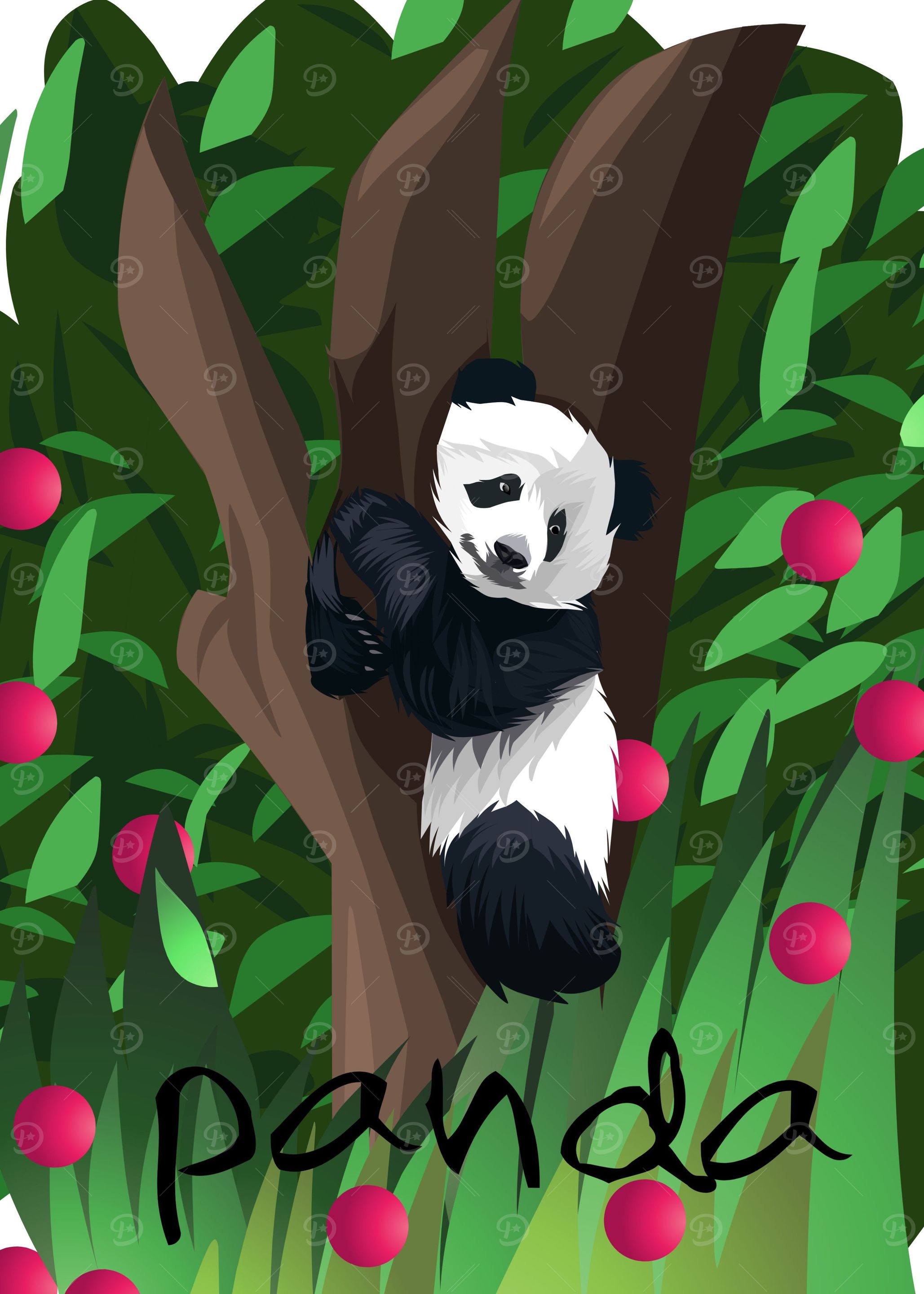 panda bear