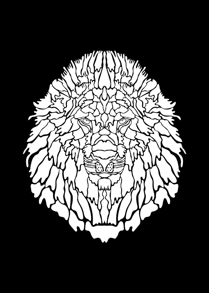 Lion Illustration