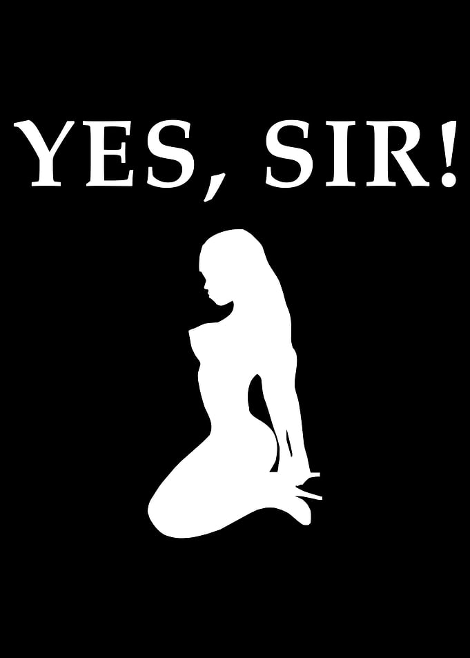 YES SIR BDSM