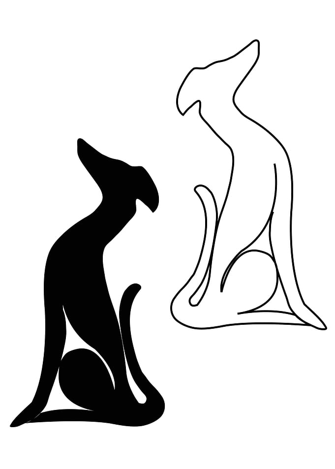 Greyhound