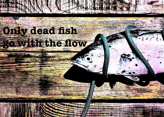 Only Dead Fish
