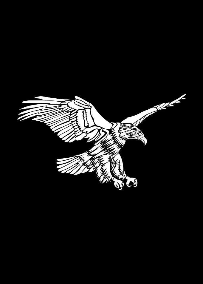 Eagle Illustration