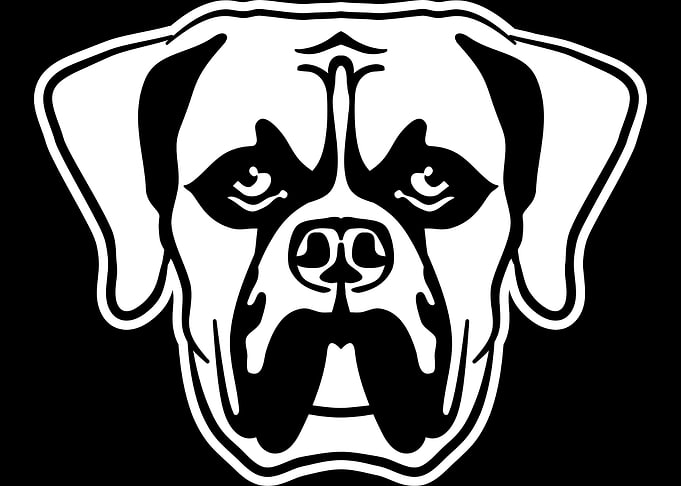 Boxer