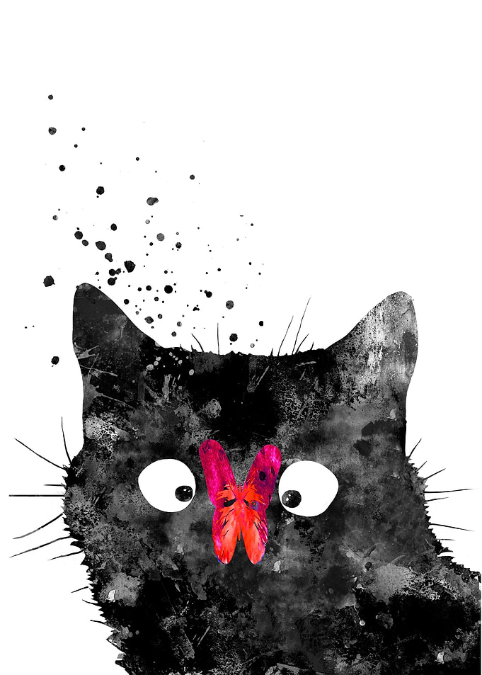 Cat and butterfly