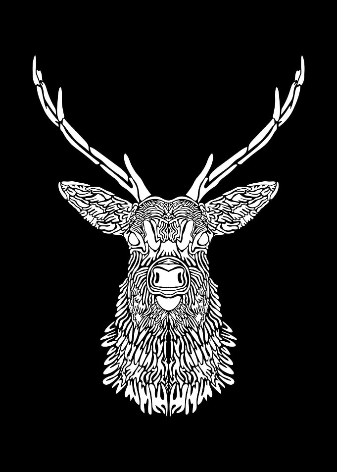 Deer Illustration