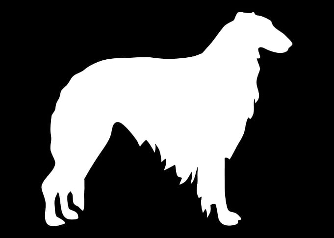 Borzoi