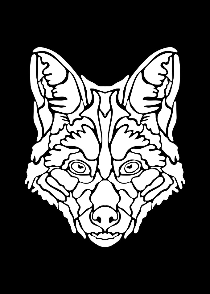 Fox Illustration Of Ethnic