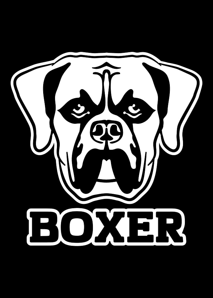Boxer