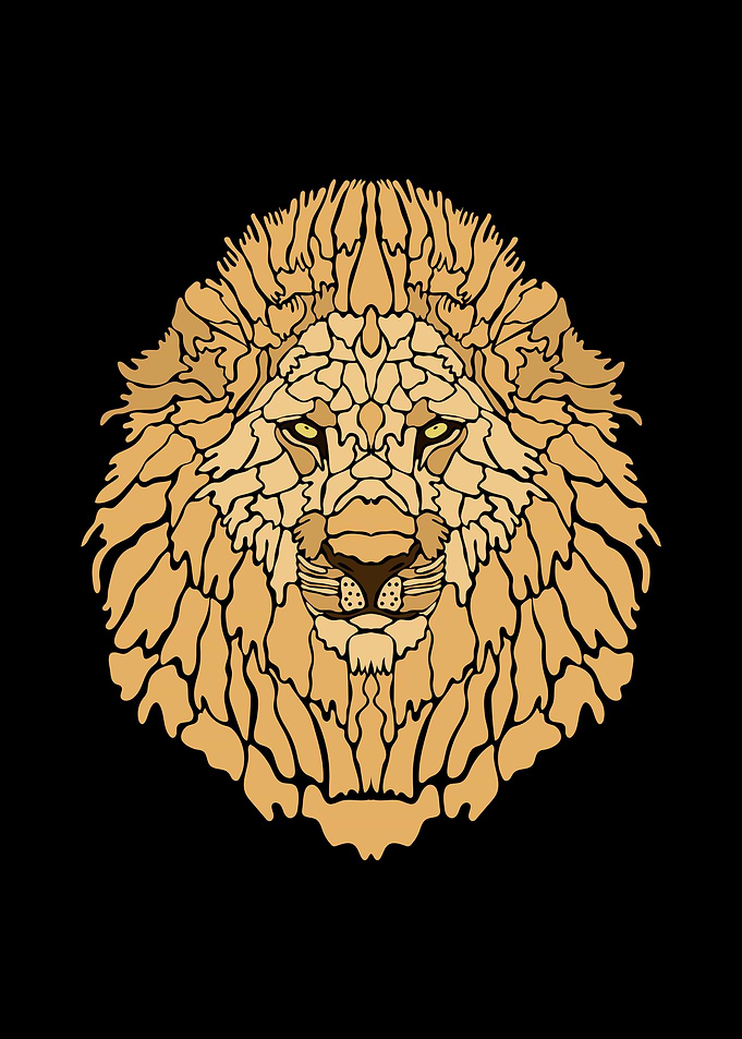 Lion Illustration