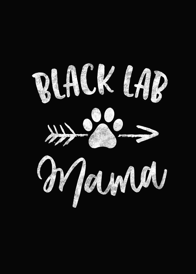 Black Lab Mama Labrador