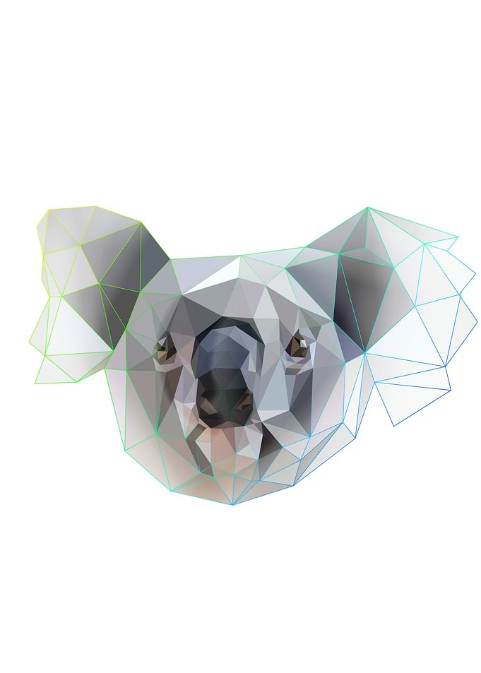 koala