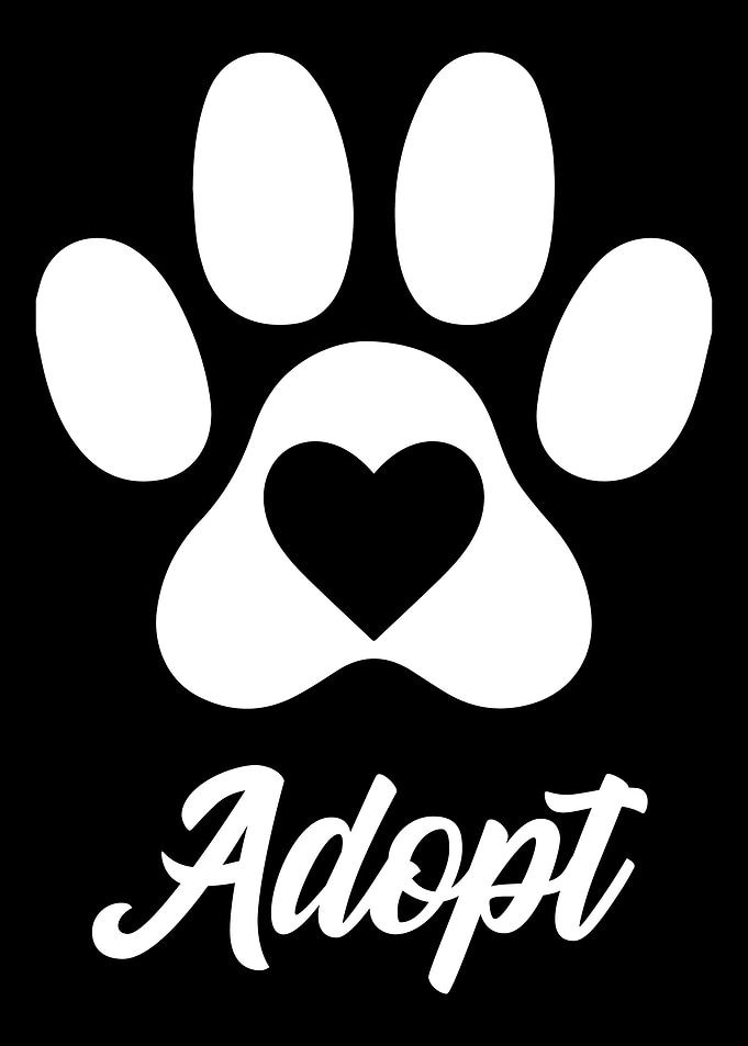 Adopt