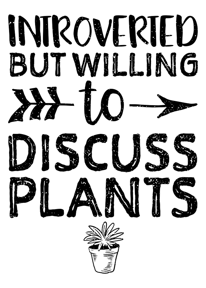 Introverted But Willing To