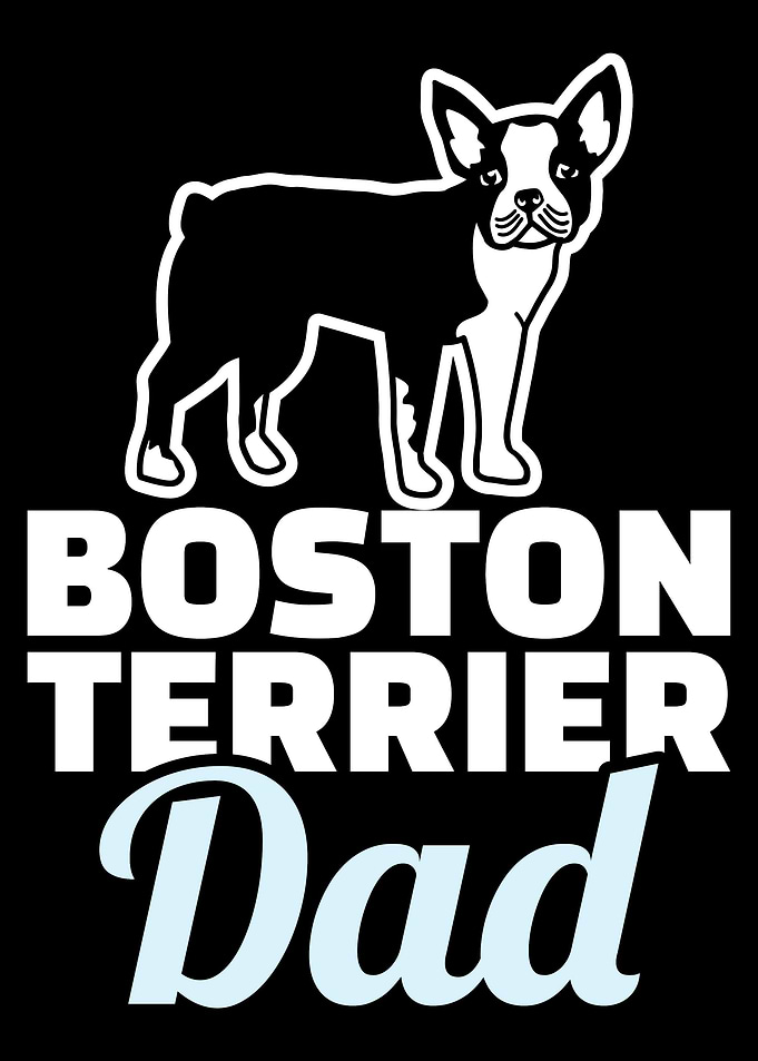 Boston Terrier
