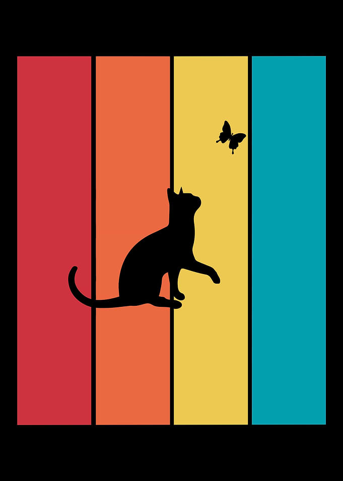Cat and butterfly