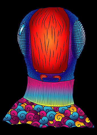 Psychedelic Art Fly Dmt