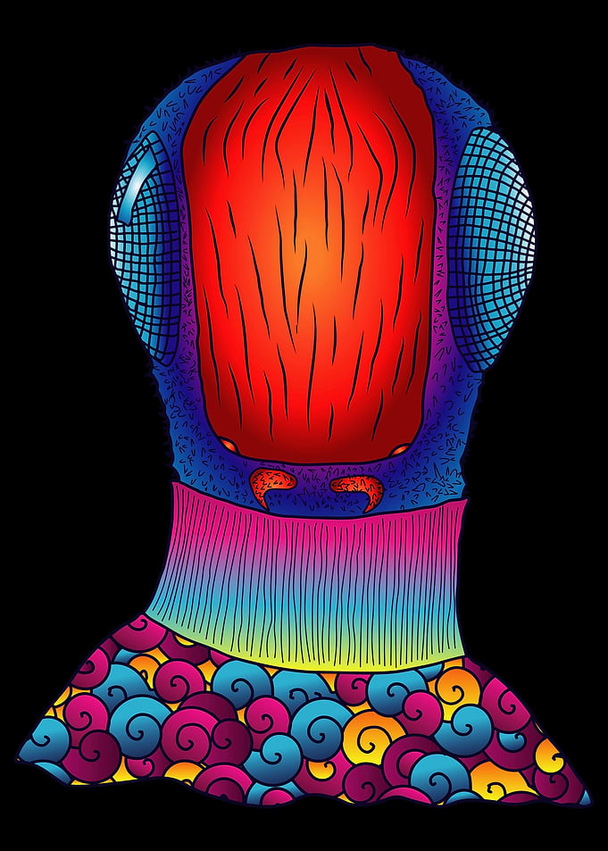 Psychedelic Art Fly Dmt