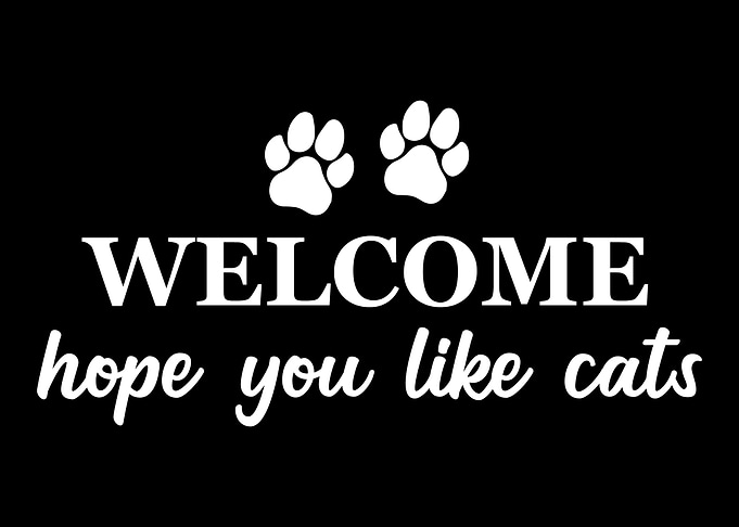 Hope you like cats
