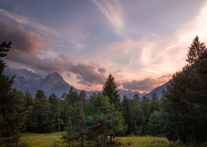 Nature