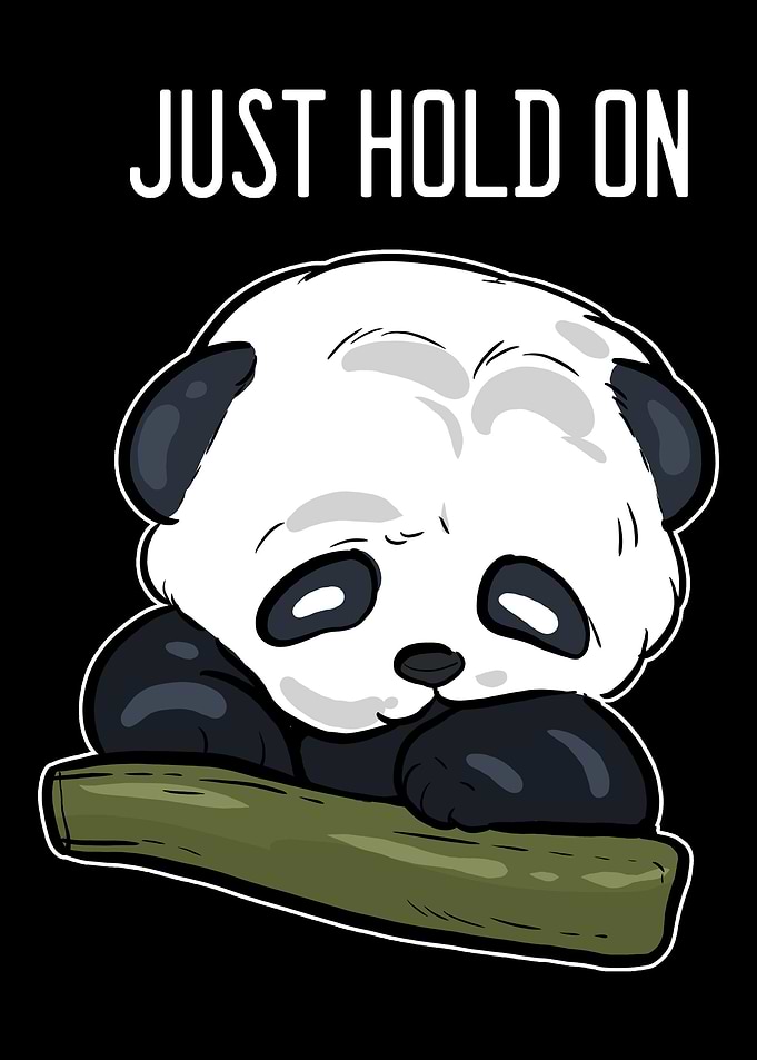 Panda Hold On Optimistic P