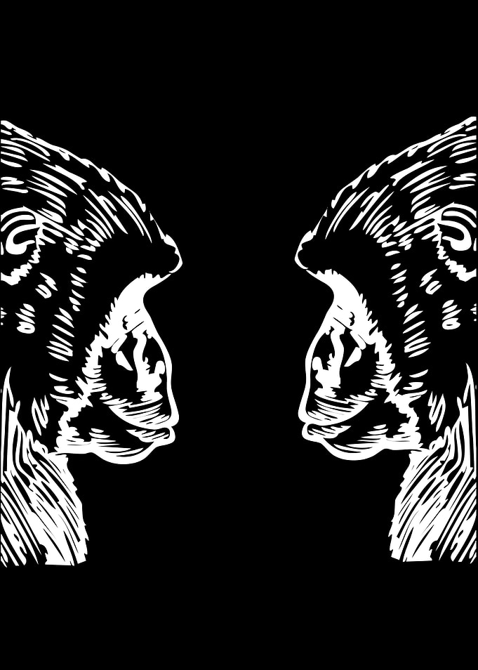 Monkey Motif