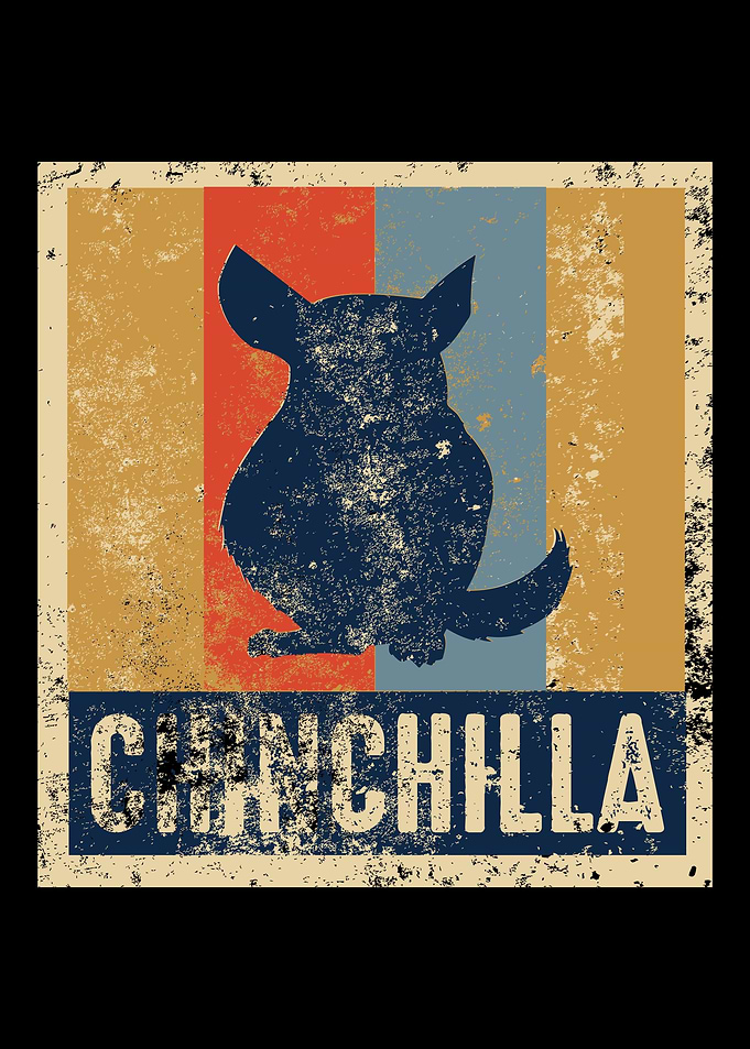 Chinchilla