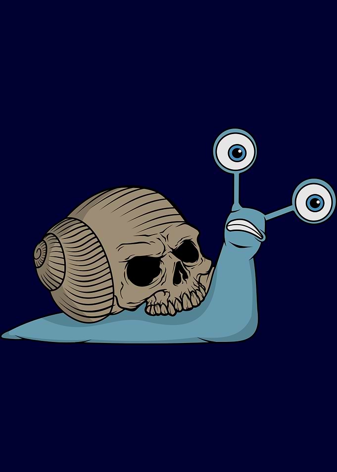 Skull