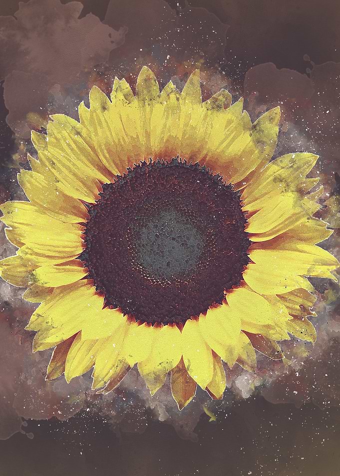 sun flowers art 6