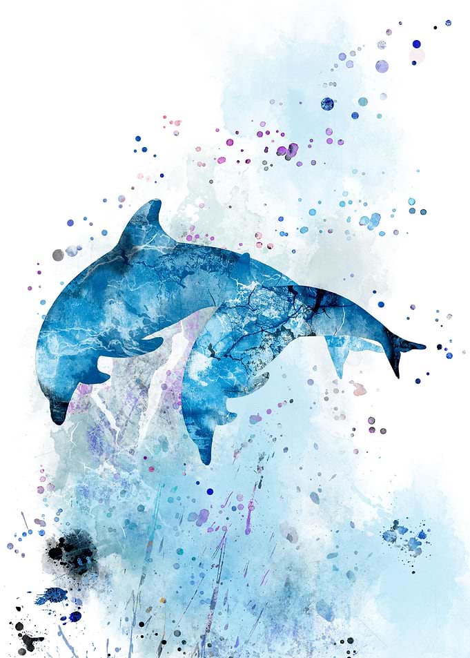 Dolphin