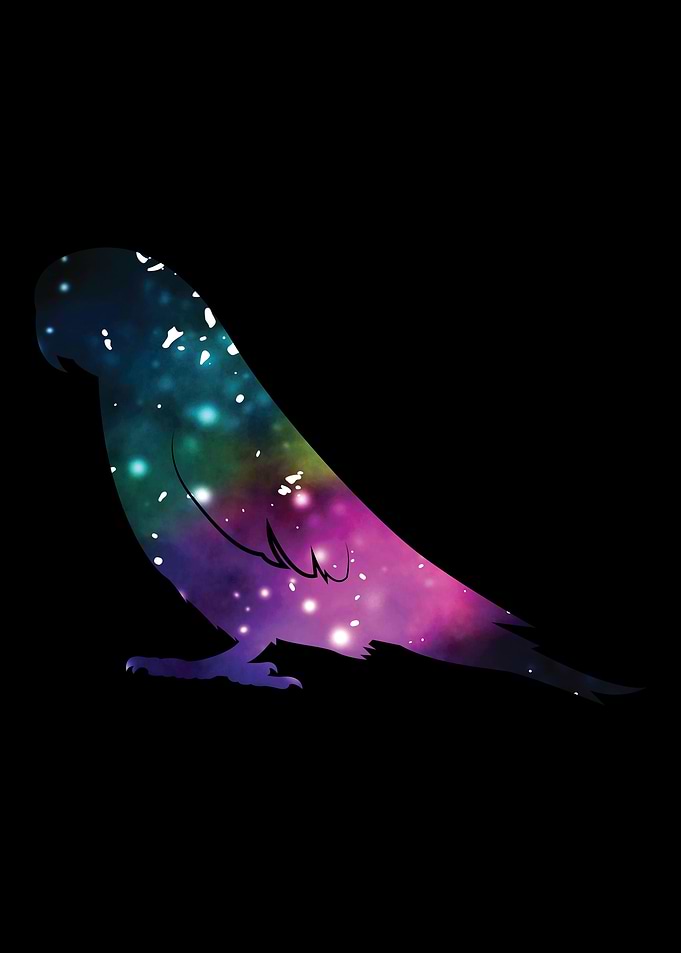 Funny Parrot Owner Lover G