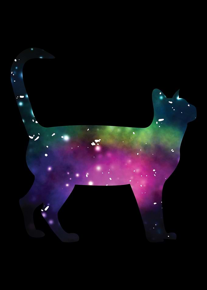 Cat Owner Lover Galaxy Sil