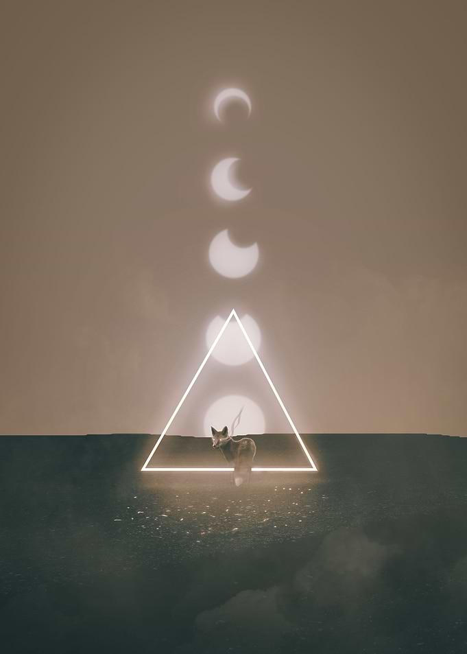 Lonely Space Fox