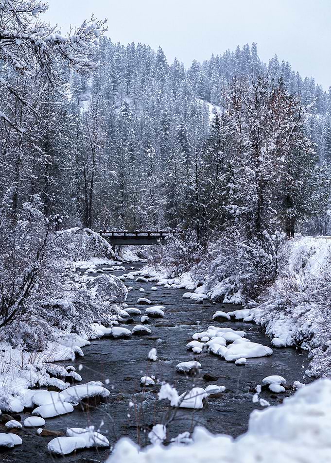 Bridge between the Seasons